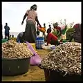 Fish market at Kendu Bay with buckets of Silver Cryprinid(Omena) ready for sale