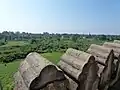 The Ava Palace site as seen from the Nanmyin Watchtower