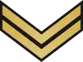 Petty officer(Irish: Mion-oifigeach)(Irish Naval Service)