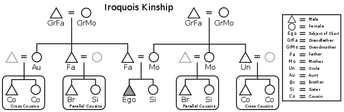 Egocentric genealogical diagram of the Iroquois kinship system.