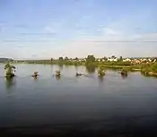 The Irkut as seen from a train window (near its confluence with the Angara)