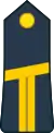 Lieutenant(Ivory Coast Ground Forces)