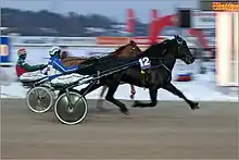 a dark-coloured horse racing in harness to a sulky, none of his feet seeming to touch the ground