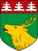 Coat of arms of Jõhvi Parish