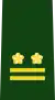 Lieutenant Colonel