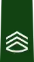 Sergeant First Class