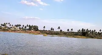 Jadigenahalli Lake