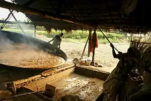 Transferring boiled sugarcane juice into vessel to dry