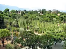 The former convent garden, now maintained as an ethnobotanical garden.