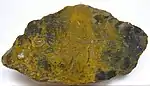 Brecciated yellow-and-green jasper, cut and polished, Kara Dag, Crimea