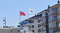 A flag in the beach of Zarautz alerting about the presence of jellyfish in the water