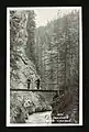 Two men standing on a wooden bridge over the creek pre-1942