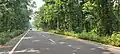 Highway at Joypur forest range