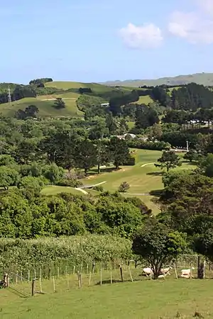 The rural landscape of Judgeford, with the golf course visible.