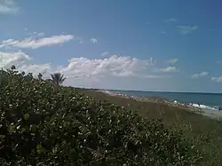 View of beachfront