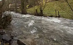 River Kall at Simonskall, Hürtgenwald