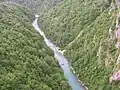 Tara River Canyon