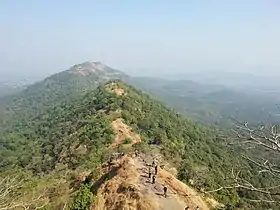 Forest from the top of fort