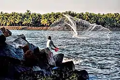 Fisherman casting from rocks