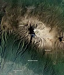 Montane forests of Mount Kilimanjaro from space