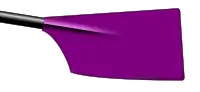 Image showing the rowing club's blade colours