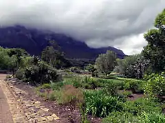 Table Mountain is visible in the background with the 'tablecloth' of clouds shrouding the plateau.