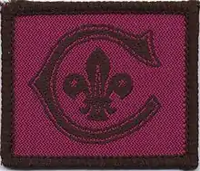 Cornwell Scout Badge