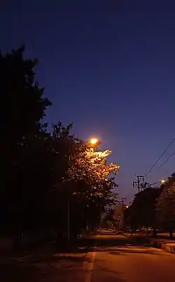 A street light near Delhi Technical Campus in Knowledge Park III, Greater Noida