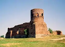 Koło castle