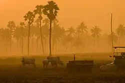 Sunrise at Kondepudi village near Palakoderu