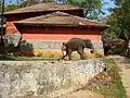 A young calf with a mahout