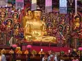 Shakyamuni Buddha in the 5-Story Dharma Law Hall (Ocheung Daebeoptang) housing the impressive gilded main altar of the Buddha Shakyamuni flanked by his attendants.