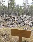 Bronze Age burial mount on Krejansberget hill.