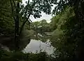 Old Saale riverbed near Kreypau