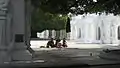 A family picnic at Kuthodaw under the star flower trees