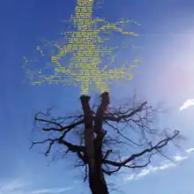 A photo of the top of a bare tree with a mirror of it consisting of abstract yellow shapes coming out of the top, all in front of a clear blue sky.