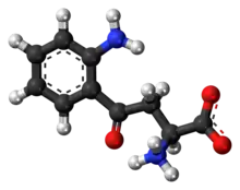 Ball-and-stick model of the L-kynurenine molecule as a zwitterion