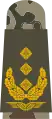 Aufschiebeschlaufe Feldanzug Luftwaffenuniformträger Generalleutnant