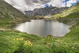 The Great St. Bernard Pass in high summer.