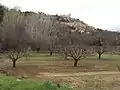 View of Lacoste, Vaucluse in March