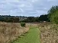 Landseer Park - view of Maidenhall in the distance