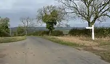 Road through open countryside with hedgerows and mature trees