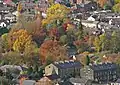 Last colours of autumn, Mytholmroyd (7 November 2010)