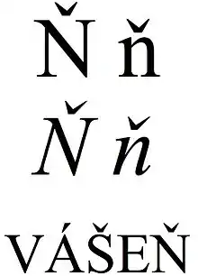 Latin small and capital letter n with caron, and small capitals ‘vášeň’