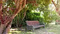 Bench in the park