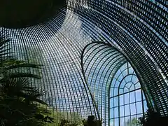 Interior of the greenhouse