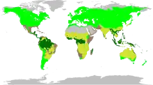 The biomes occupied by Fabaceae