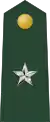 Brigadier general(Liberian Ground Forces)