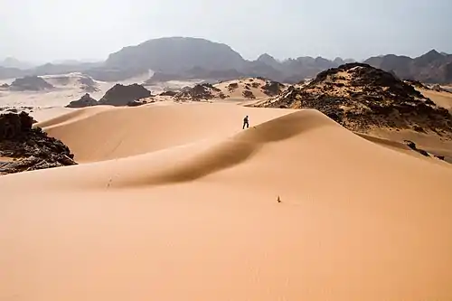 Image 8Tadrart Acacus desert in western Libya, part of the Sahara  (from Conservation biology)