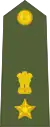 Indian Army (Lieutenant Colonel)